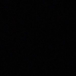 Meet your Posher, Daniela